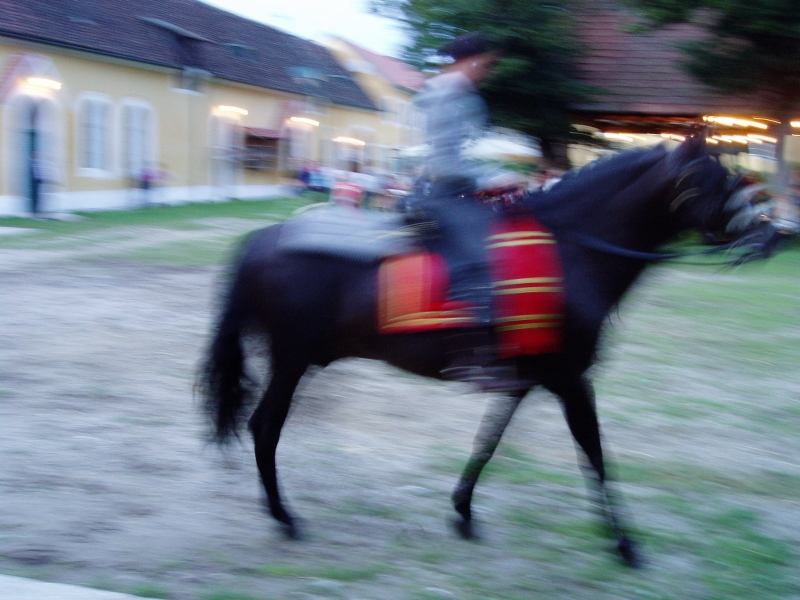 Lilienhof 270805 161